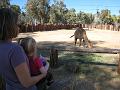 2nd Birthday at the zoo 33